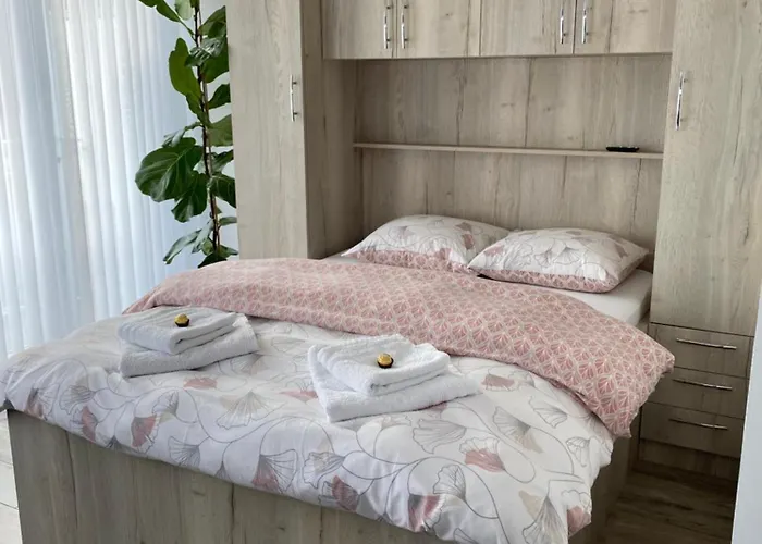 Zwarte Arend Airbnb