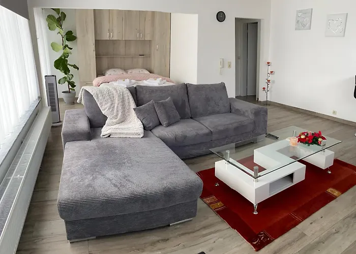 Zwarte Arend Airbnb