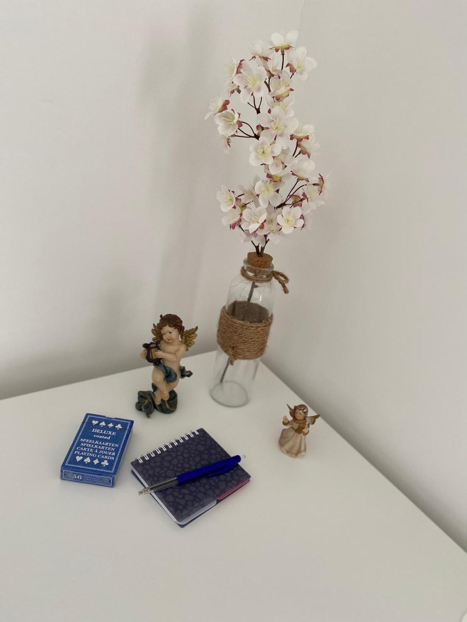 Zwarte Arend Airbnb Appartement