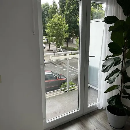 Zwarte Arend Airbnb Anvers Extérieur photo