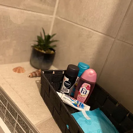 Zwarte Arend Airbnb Anvers Extérieur photo
