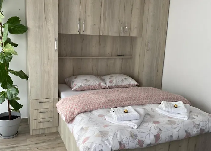 Zwarte Arend Airbnb