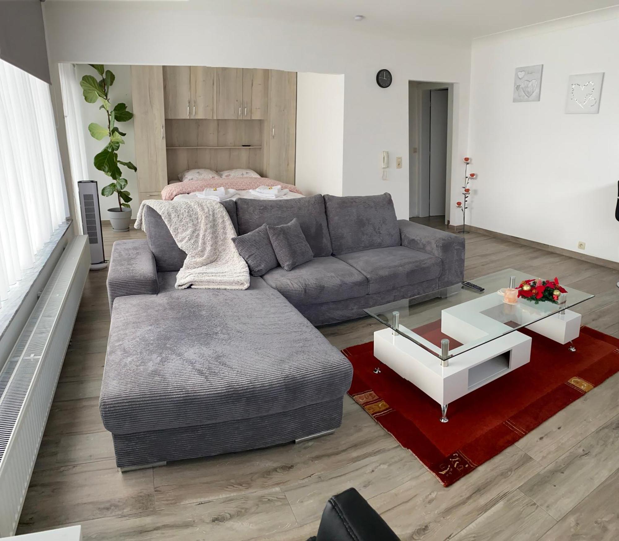 Zwarte Arend Airbnb * Anvers